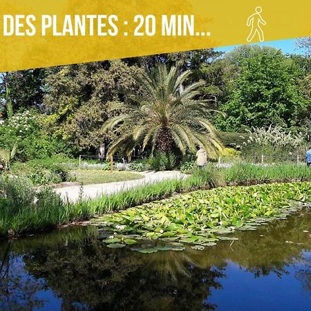 Amja Proche Clinique Saint-Roch Apt 3 Chambres 3 Salles De Bain Parking Gratuit Ideal Famille Groupe Coworking 10 Min Centre Ville 10 Min Plage 5 Min Sortie Autoroute Montpellier Luaran gambar