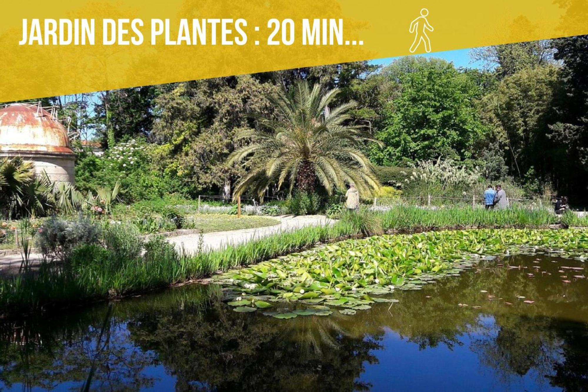 Amja Proche Clinique Saint-Roch Apt 3 Chambres 3 Salles De Bain Parking Gratuit Ideal Famille Groupe Coworking 10 Min Centre Ville 10 Min Plage 5 Min Sortie Autoroute Montpellier Luaran gambar