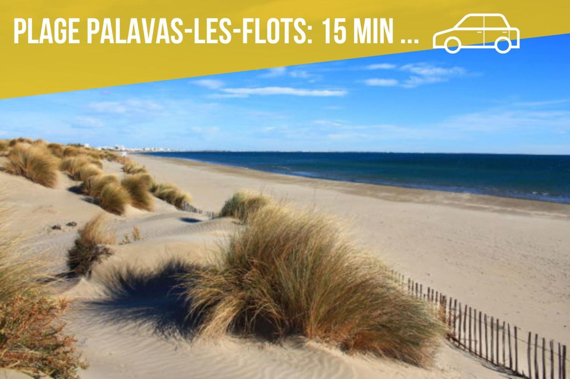 Amja Proche Clinique Saint-Roch Apt 3 Chambres 3 Salles De Bain Parking Gratuit Ideal Famille Groupe Coworking 10 Min Centre Ville 10 Min Plage 5 Min Sortie Autoroute Montpellier Luaran gambar