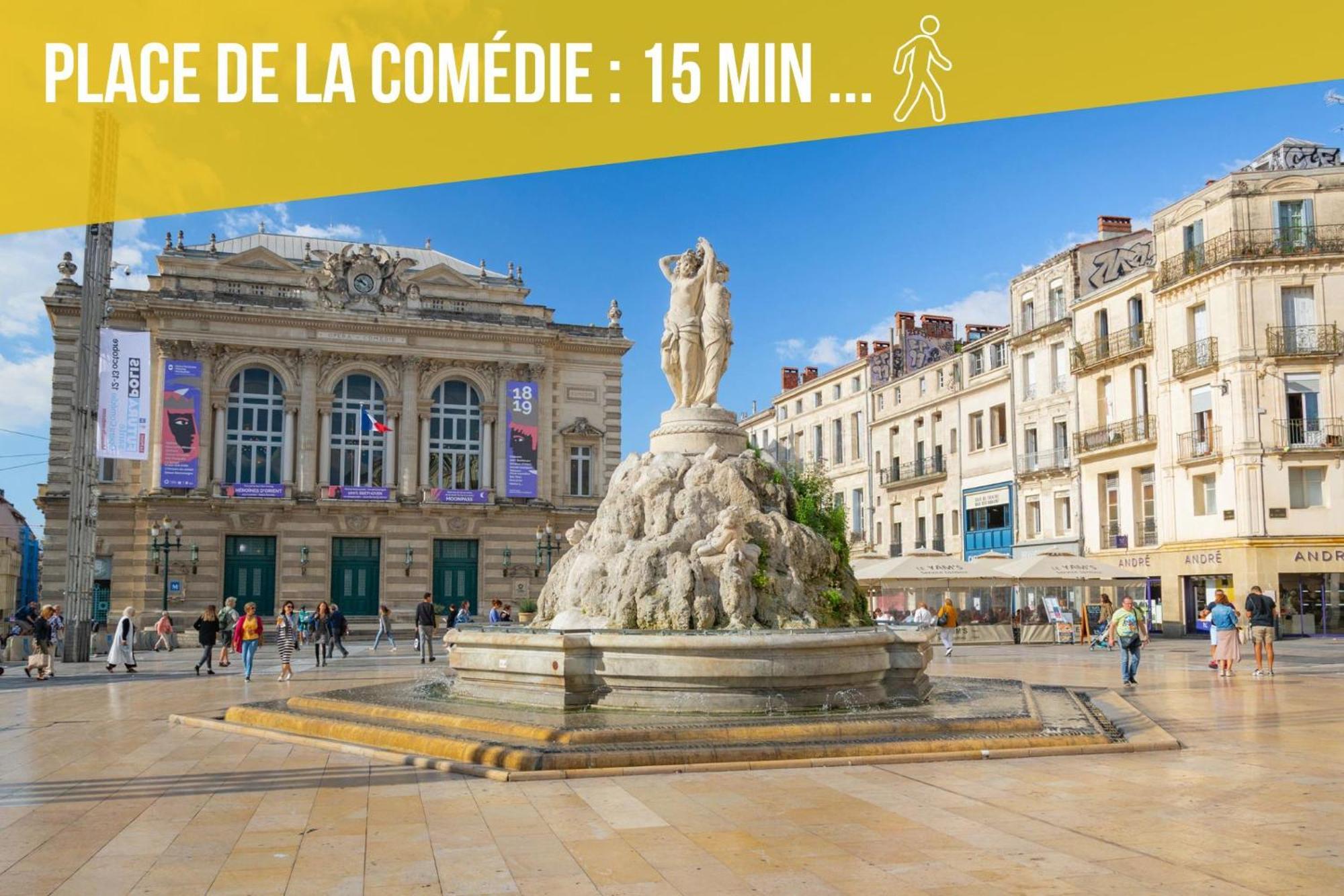 Amja Proche Clinique Saint-Roch Apt 3 Chambres 3 Salles De Bain Parking Gratuit Ideal Famille Groupe Coworking 10 Min Centre Ville 10 Min Plage 5 Min Sortie Autoroute Montpellier Luaran gambar